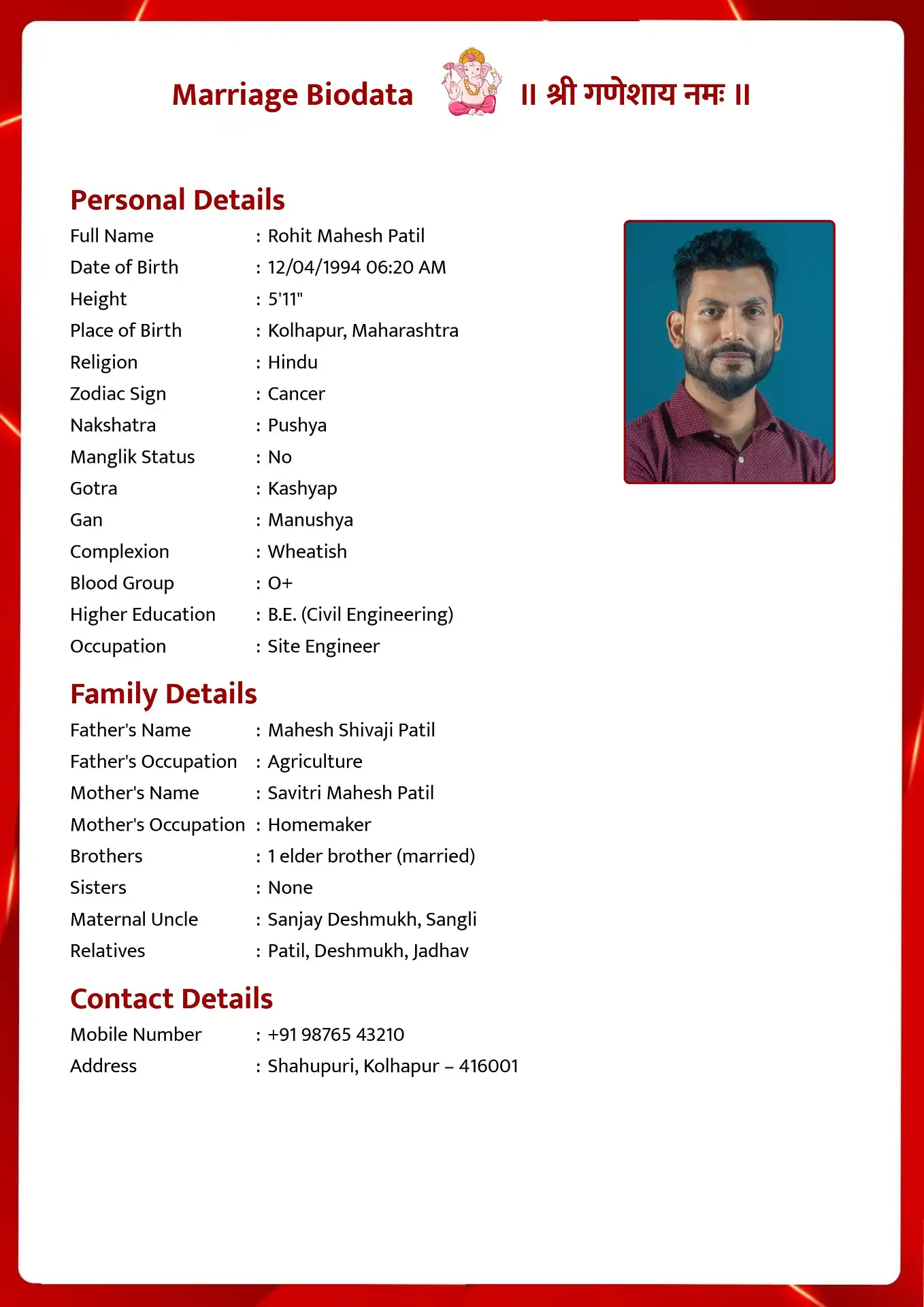 Abstract Flames biodata for marriage template