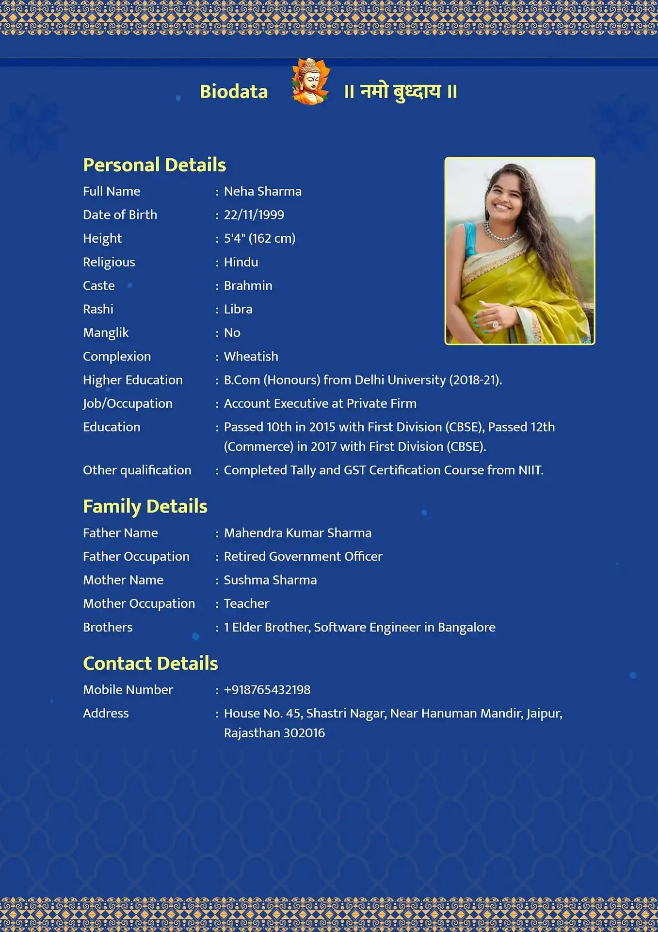 Blue Velvet biodata for marriage template